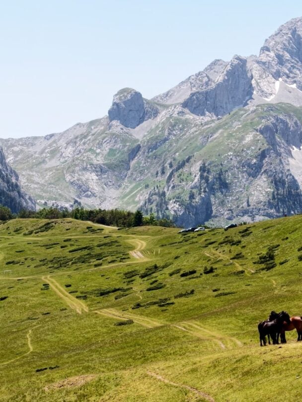 Komovi to Bjelasica via Ljubaštica, Stavna, and Ključ — Mountain Biking in Kolašin to Kotor Bay | Montenegro