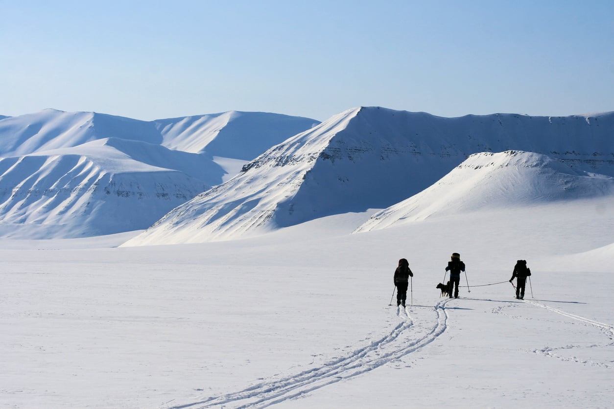 lines arctic skiing