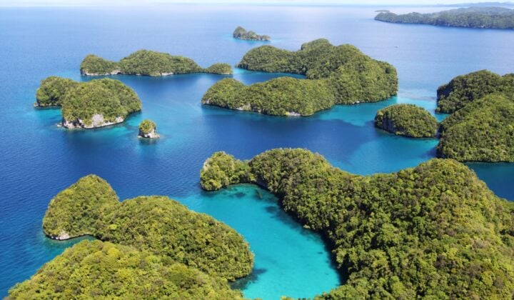 Arrive in Koror and meet your guide — Kayaking in Rock Islands | Palau