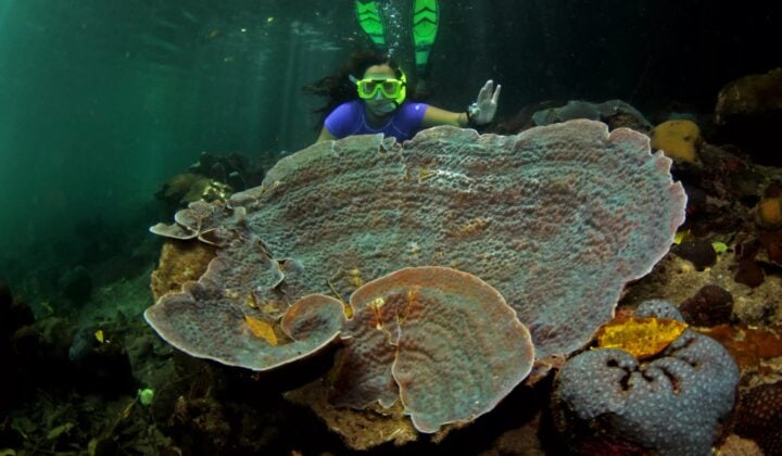 Departure day — Kayaking in Rock Islands | Palau