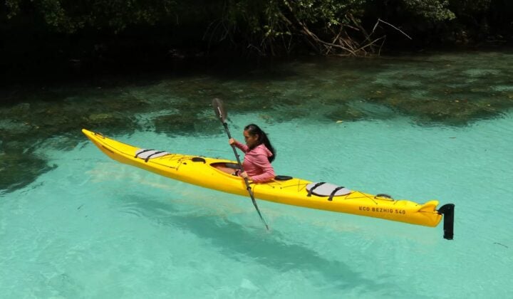 Einstein's Coral Gardens and Darwin's Wall — Kayaking in Rock Islands | Palau