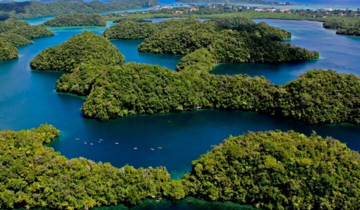 Through the mangroves to Long Lake — Kayaking in Rock Islands | Palau