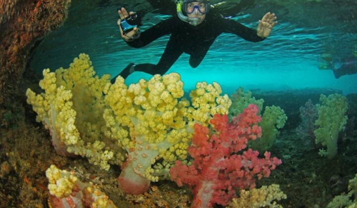 Ulong Island by kayak, snorkel, and foot — Kayaking in Rock Islands | Palau