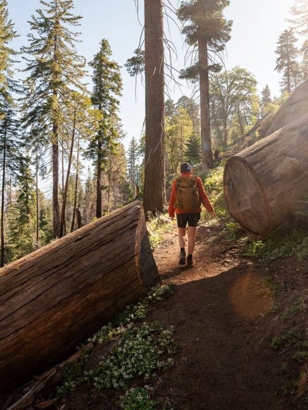 Hiking in Sierra Nevada | California