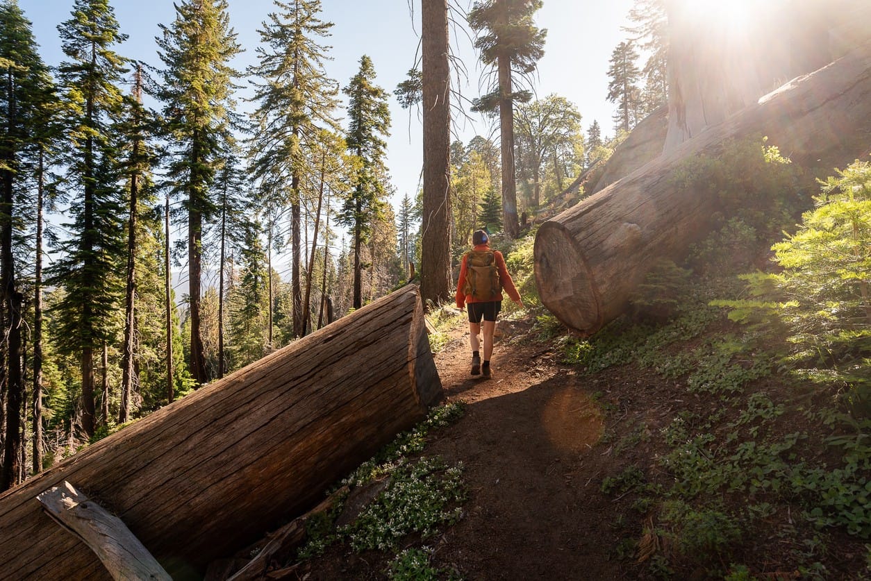 Hiking in Sierra Nevada | California