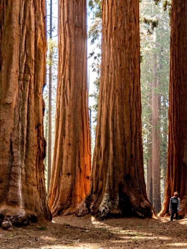 Hiking in Sierra Nevada | California