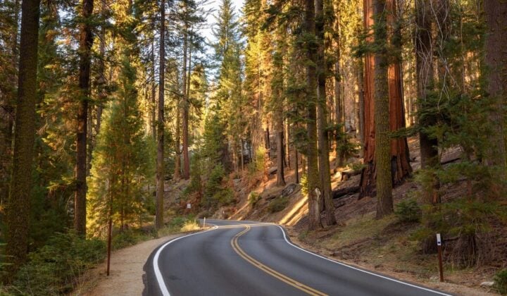 Hiking in Sierra Nevada | California