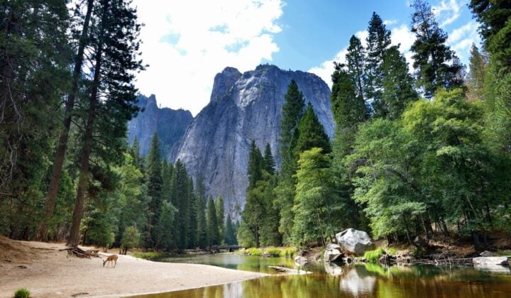 Hiking in Sierra Nevada | California