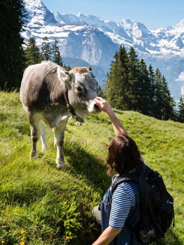 Hiking in Wengen | Switzerland