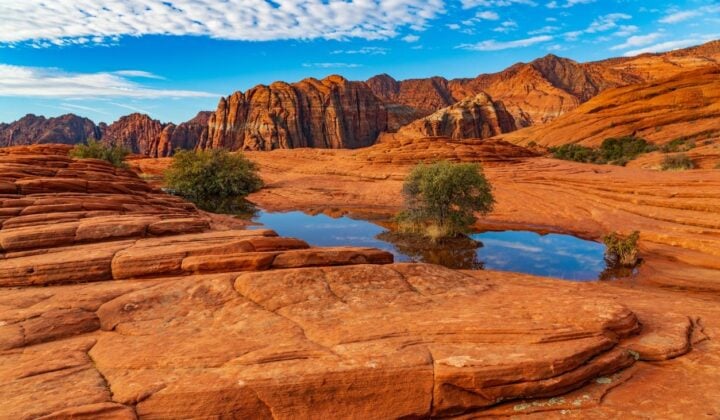 Explore Snow Canyon and travel to Zion — Hiking in Zion & Bryce Canyon | Utah